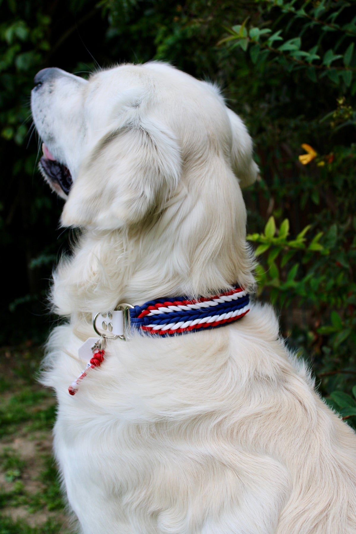 Les tressĂ©s đ§”