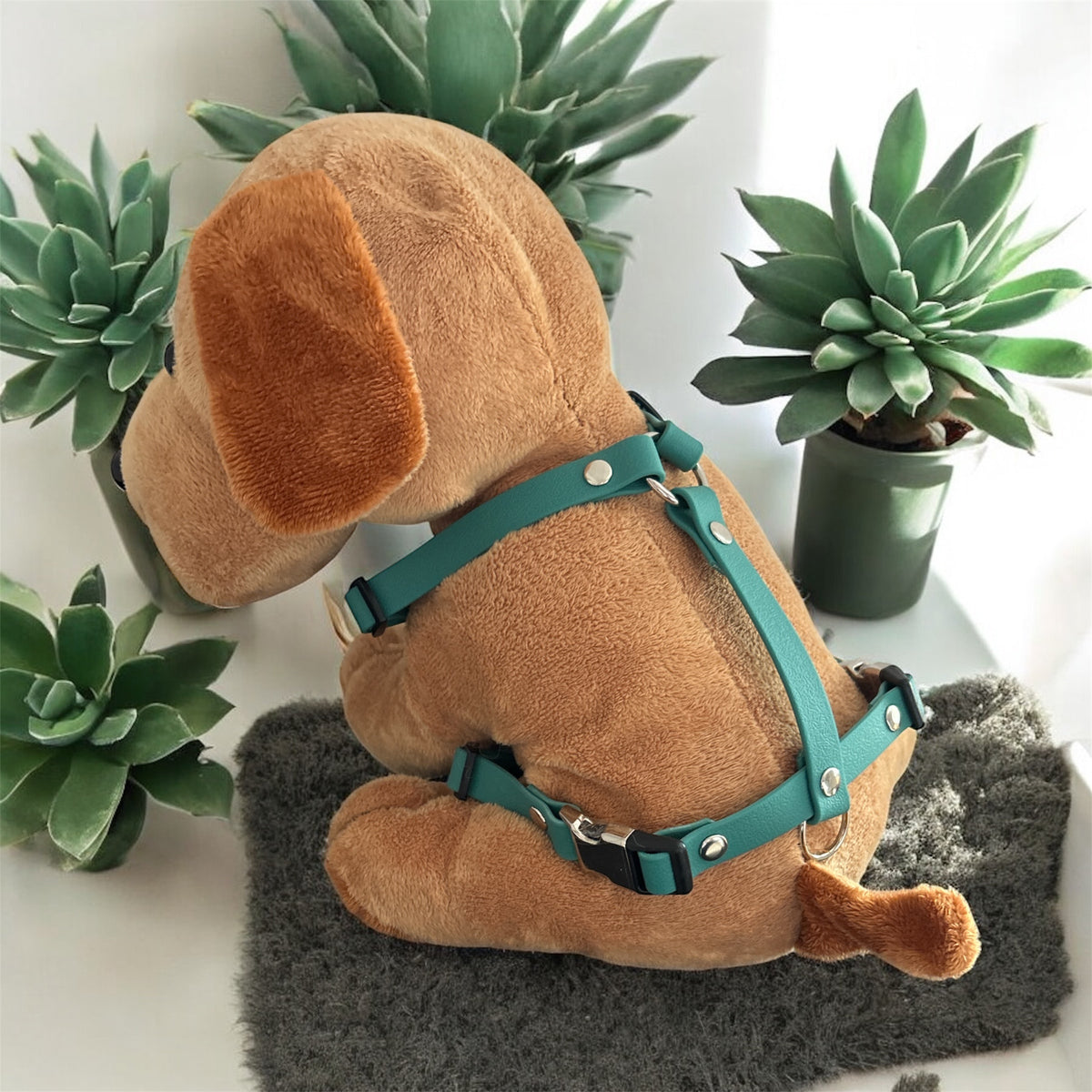 Les harnais 16MM đ¶