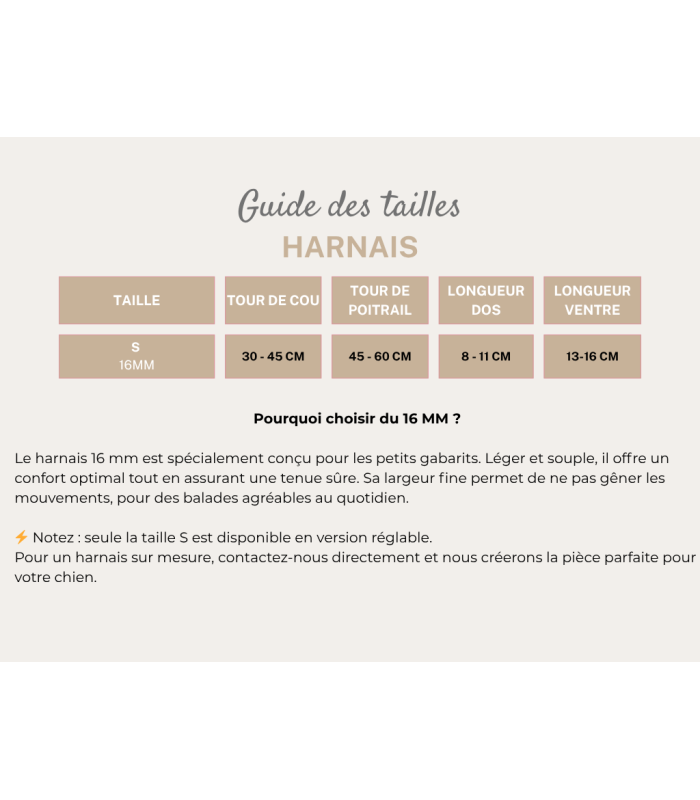 Harnais chien 16 mm | Léger, confortable et ajustable pour petits chiens