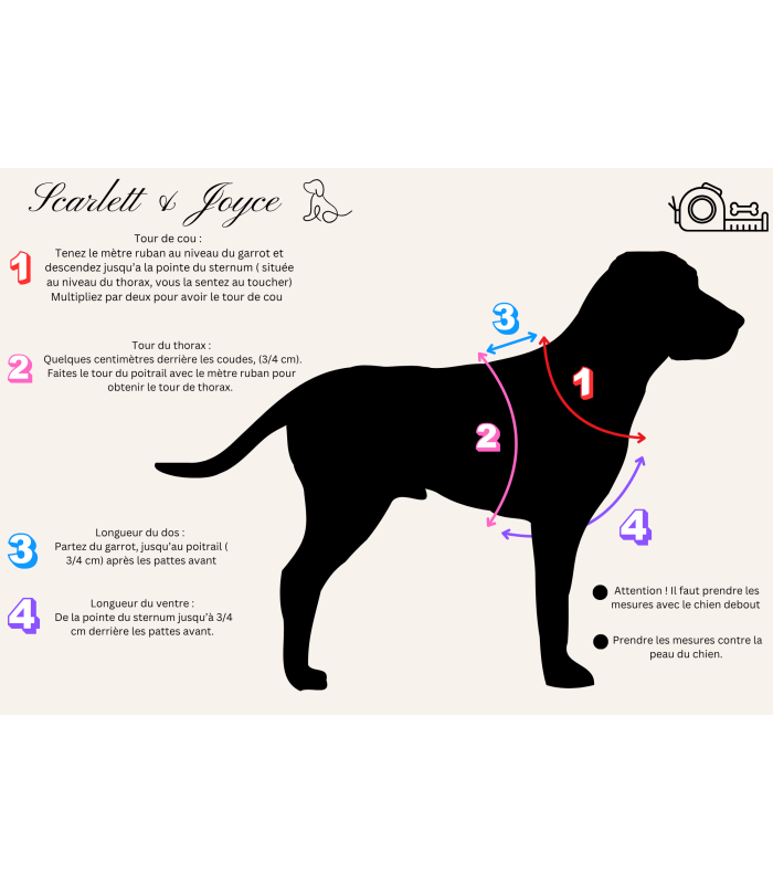 Harnais chien 16 mm | Léger, confortable et ajustable pour petits chiens