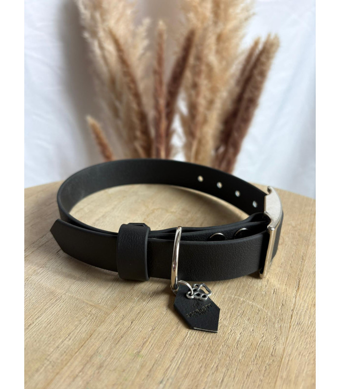 Collier Colorwaves pour chien – TPU résistant et souple