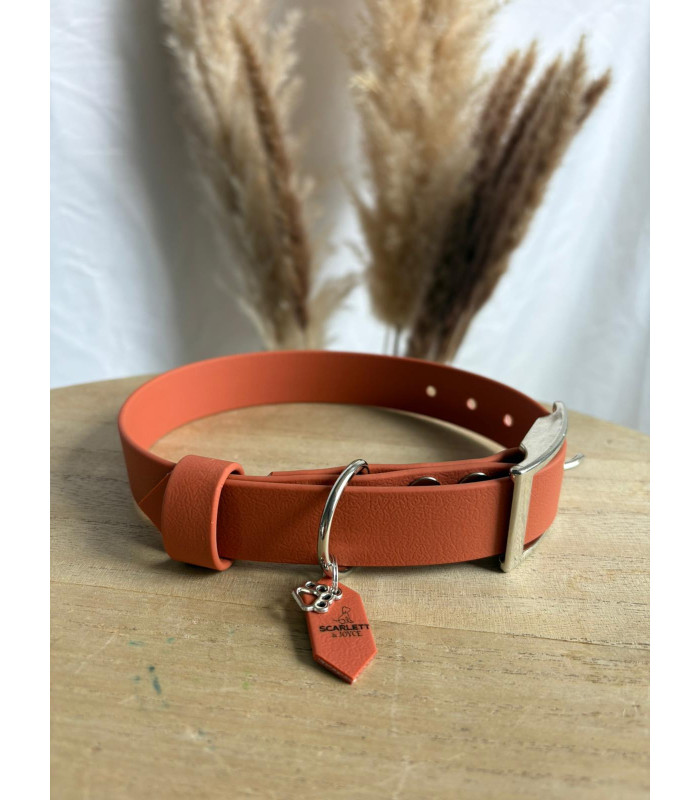 Collier Colorwaves pour chien – TPU résistant et souple