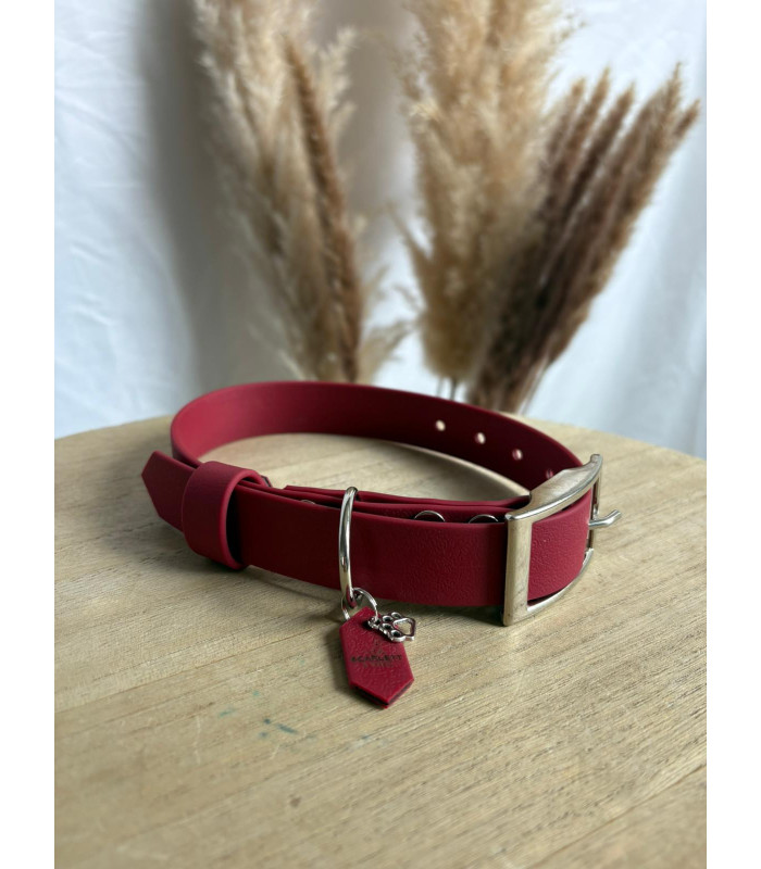 Collier Colorwaves pour chien – TPU résistant et souple