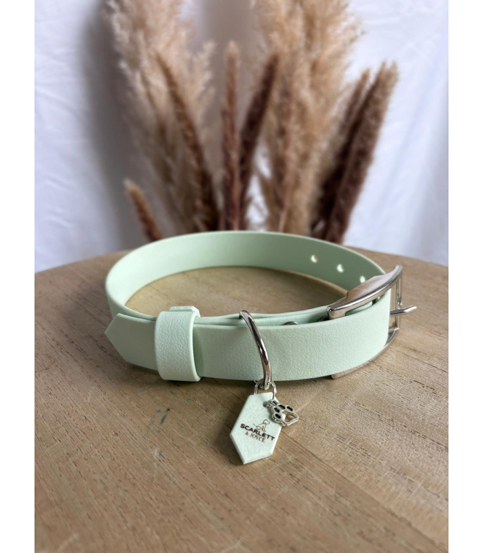 Collier Colorwaves pour chien – TPU résistant et souple