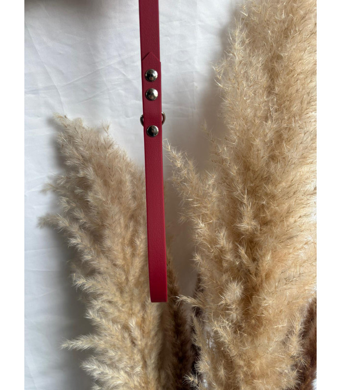 Laisse chien Color Play 16 mm | Fait main et confortable