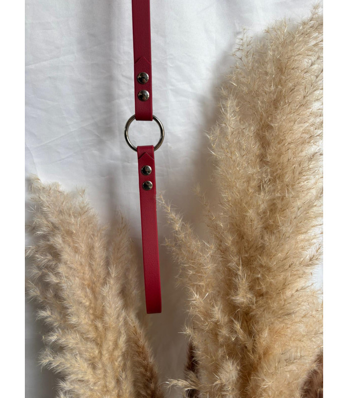 Laisse chien Élégance avec anneau | Fait main et confortable