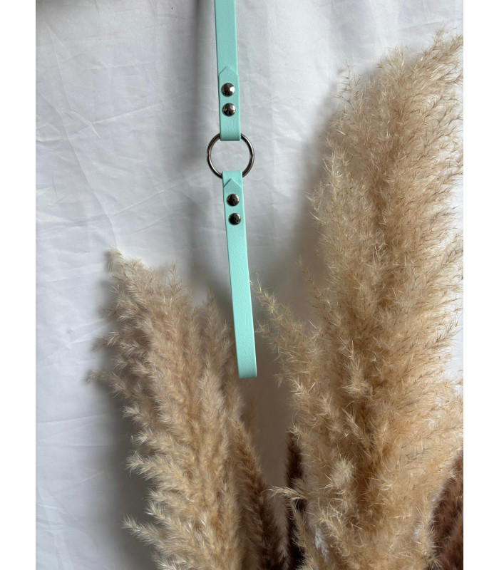 Laisse chien Élégance avec anneau | Fait main et confortable