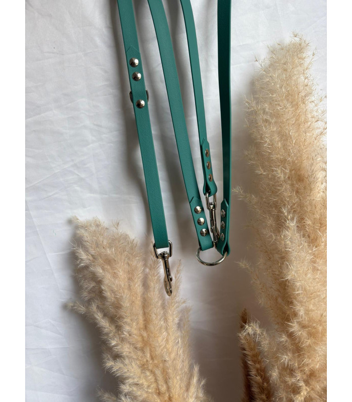 Laisse chien Multi Simple Couleurs 16 mm | Polyvalente et résistante