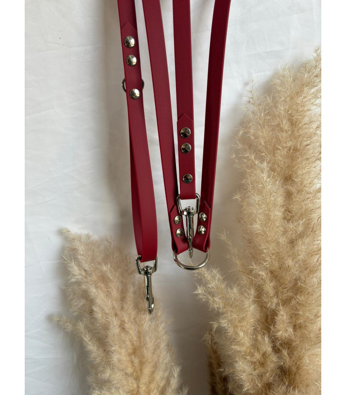 Laisse chien Multi Simple Couleurs 16 mm | Polyvalente et résistante