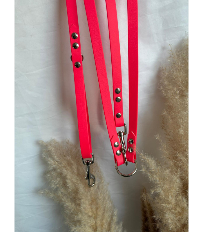 Laisse chien Multi Simple Couleurs 16 mm | Polyvalente et résistante