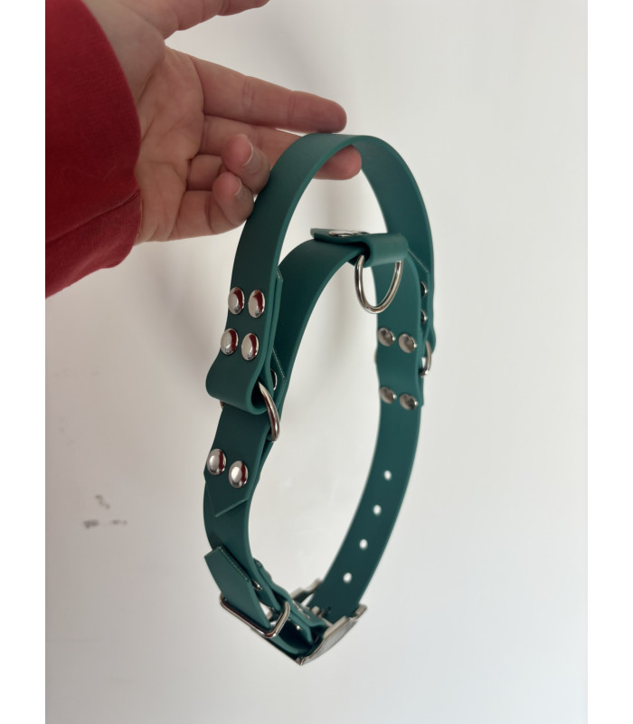 Collier chien naturel avec poignée rétractable | 25mm