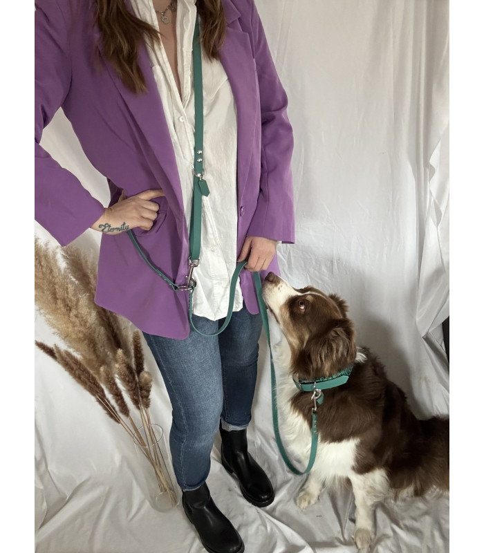 Laisse chien Multi Double Couleurs 16 mm | Polyvalente et résistante