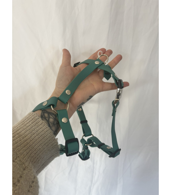 Harnais chien 16 mm | Léger, confortable et ajustable pour petits chiens