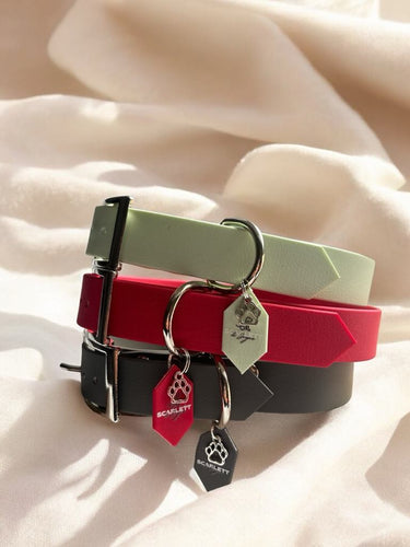 Les avantages et inconvénients de la sangle imperméable pour les laisses et colliers pour chiens