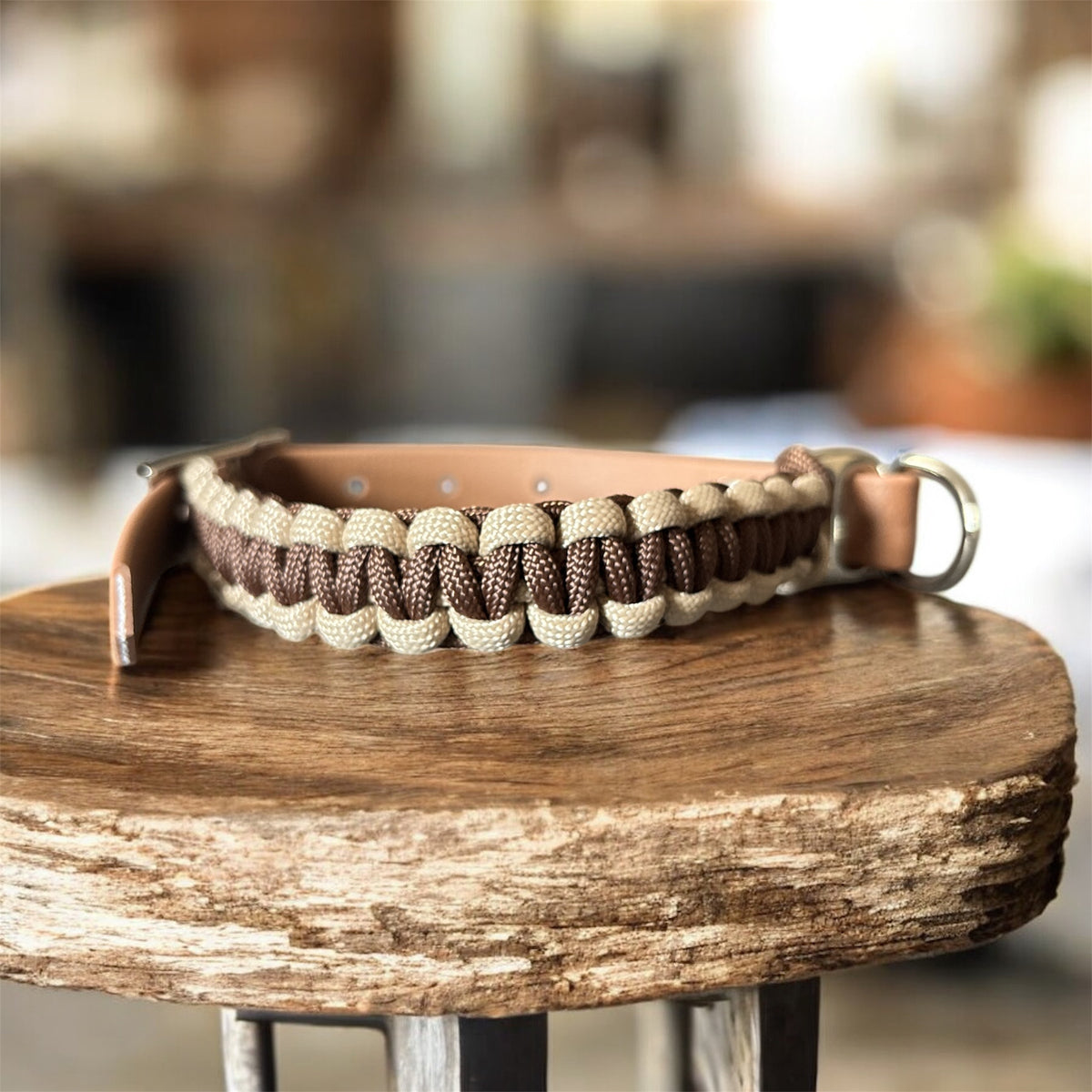 Collection Automne / Hiver 🍁❄️