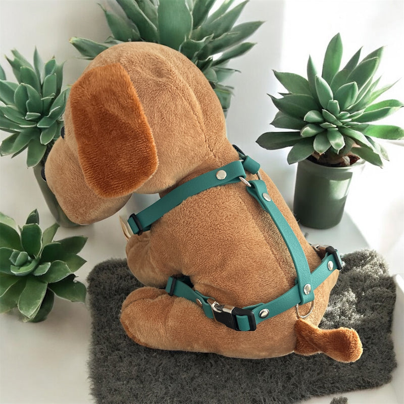 Les harnais 16MM 🐶