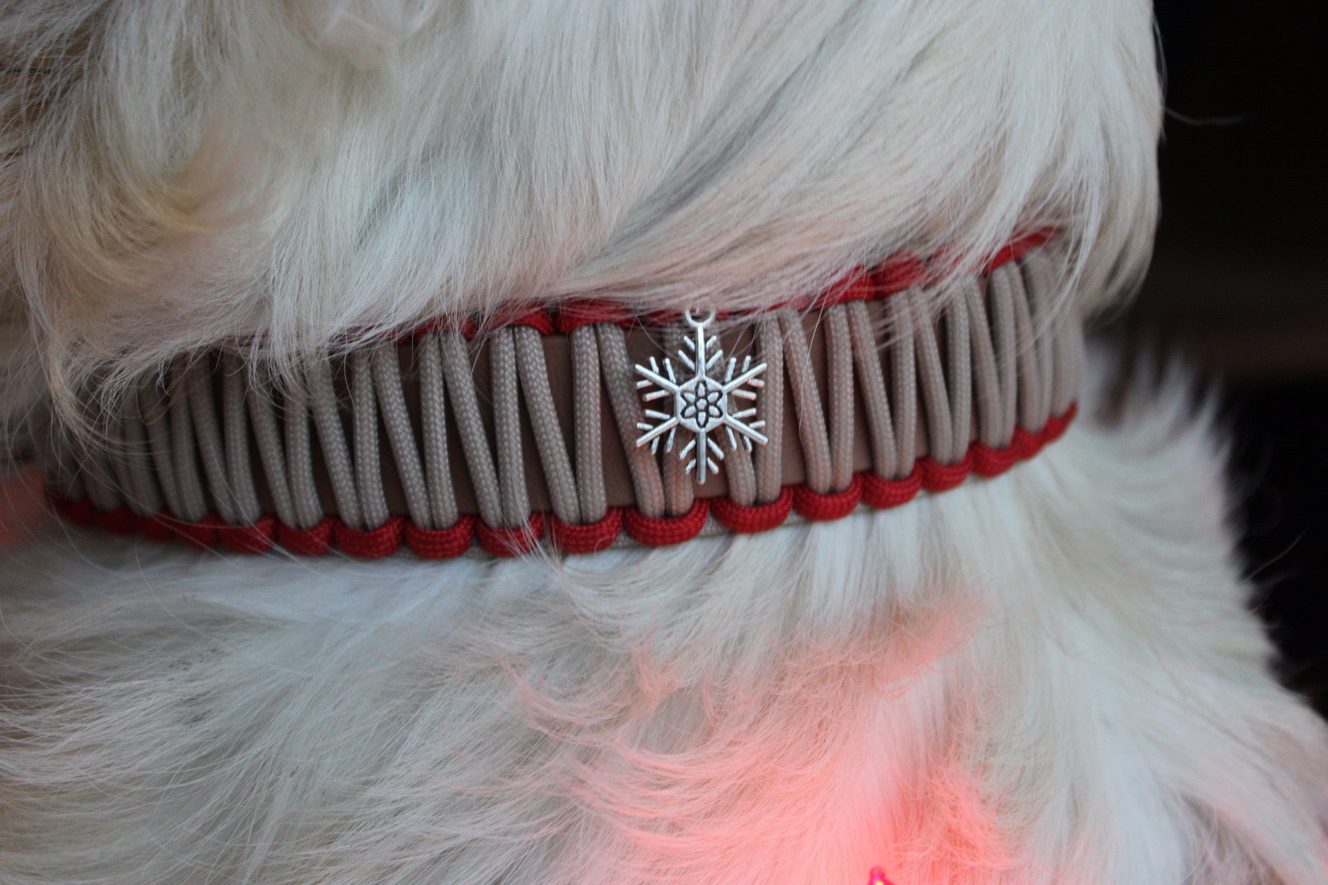 Collier Étoile d’Hiver