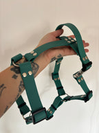 Harnais Vert chasseur 25MM