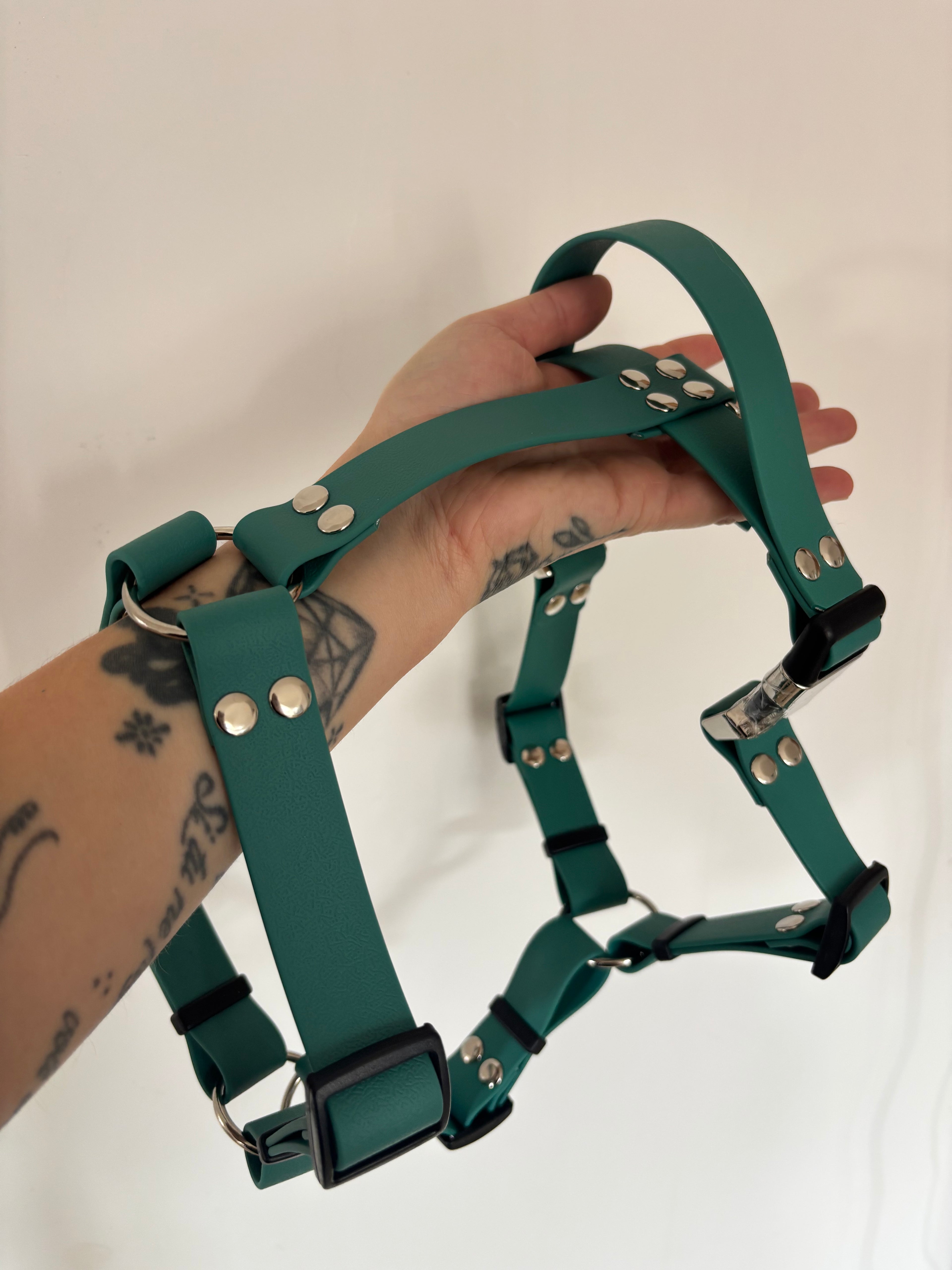 Harnais Vert chasseur 25MM