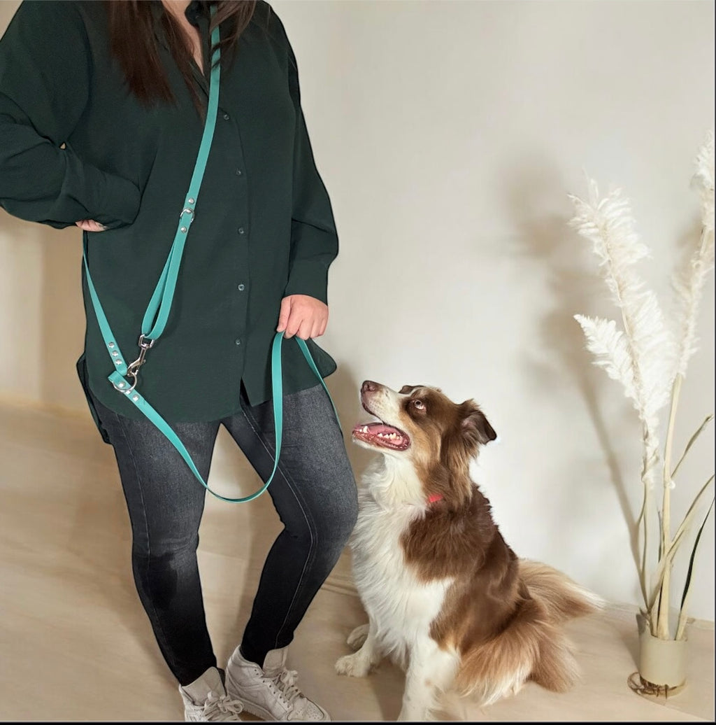 Laisse Multi-Positions 16mm- Vert chasseur