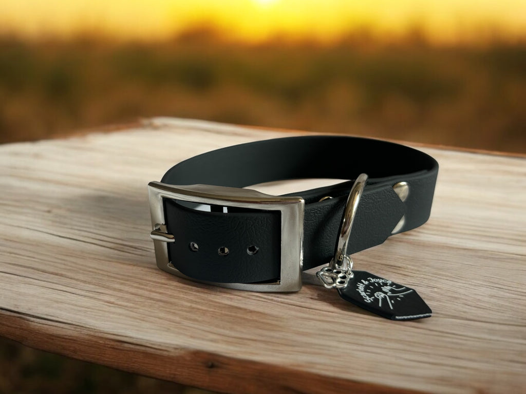 Collier Colorwaves 16mm petits chiens et chats