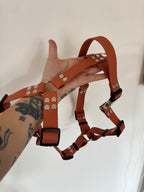 Harnais Terracotta  25MM