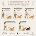 Laisse multi-positions 16mm