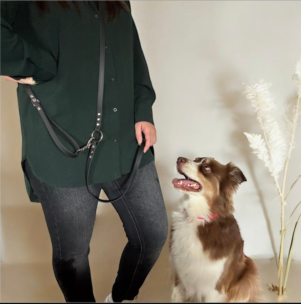 Laisse Multi-Positions 16mm- Noir