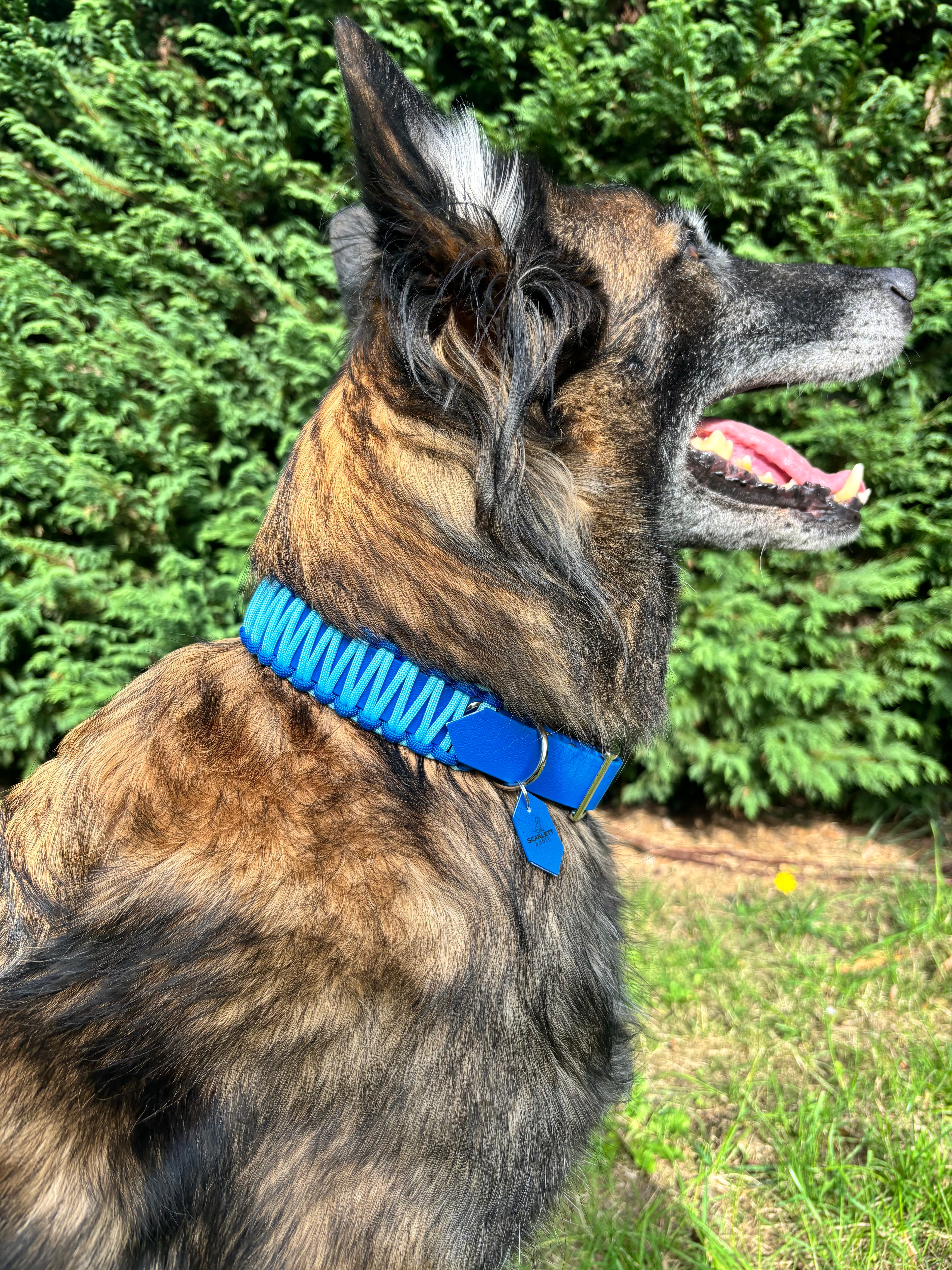 Collier bleu électrique et bleu clair