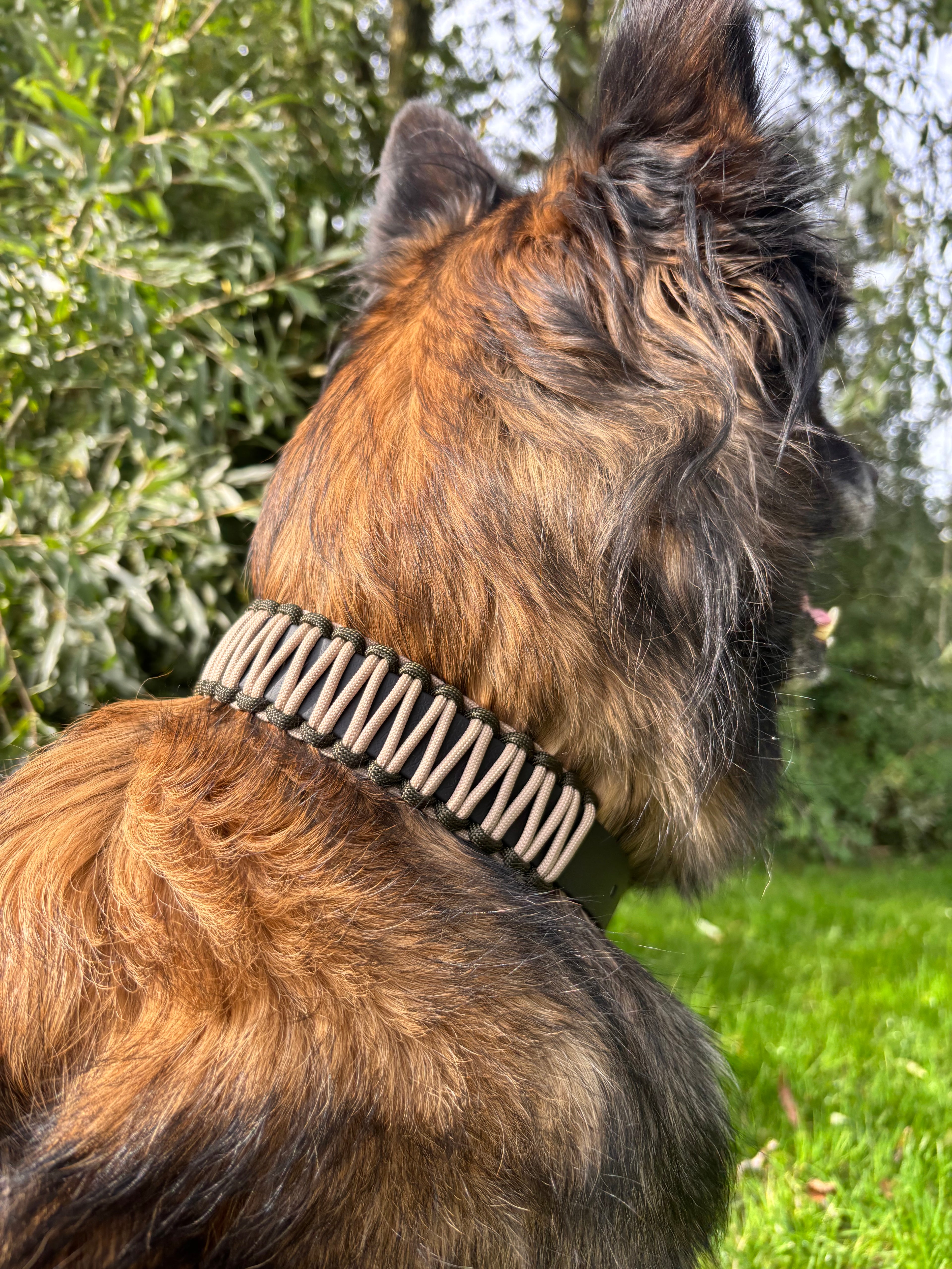 Collier Noir, mocca, kaki