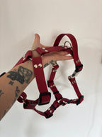 Harnais vin 16MM
