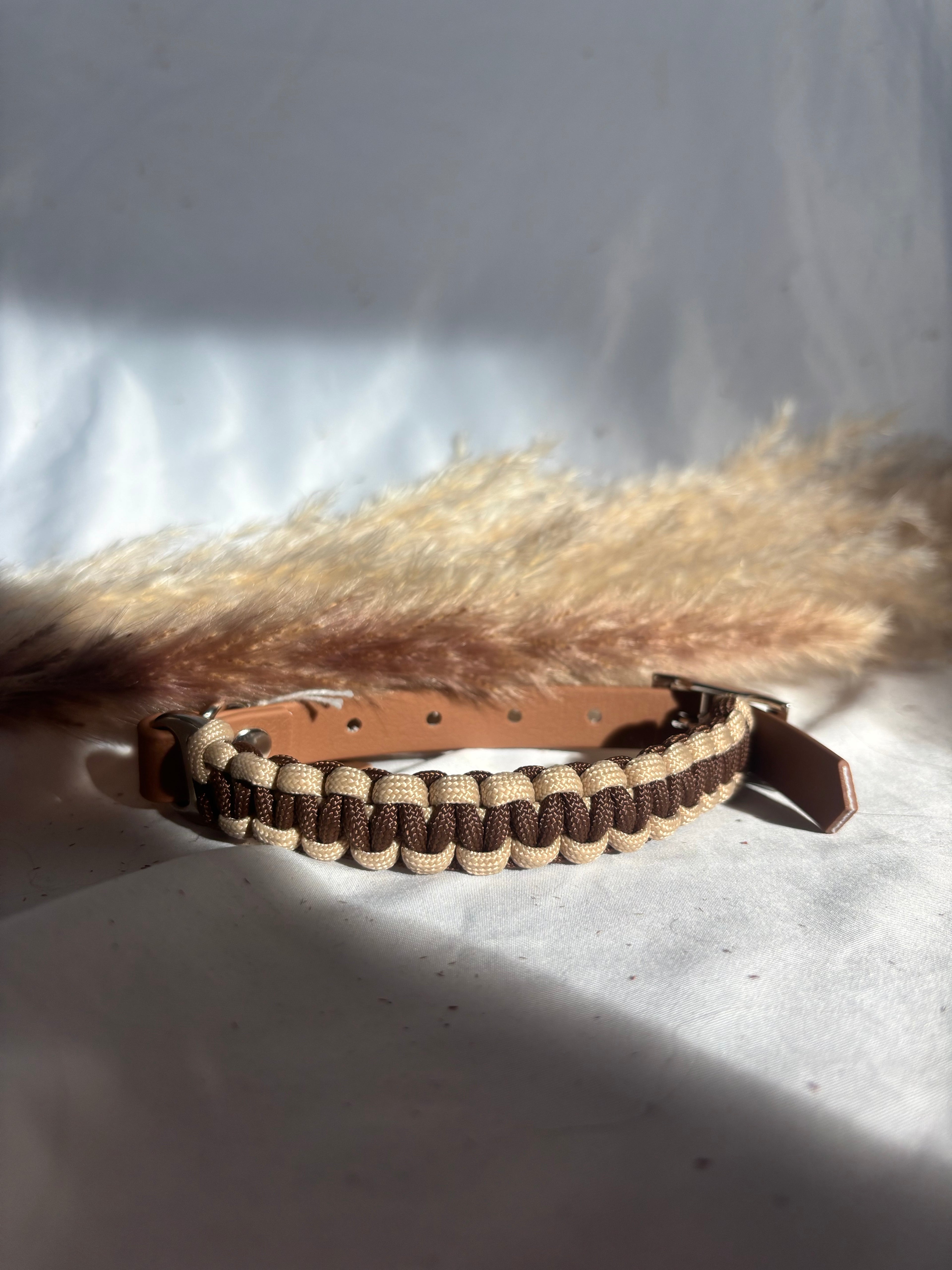 Collier Milo (21- 26cm)