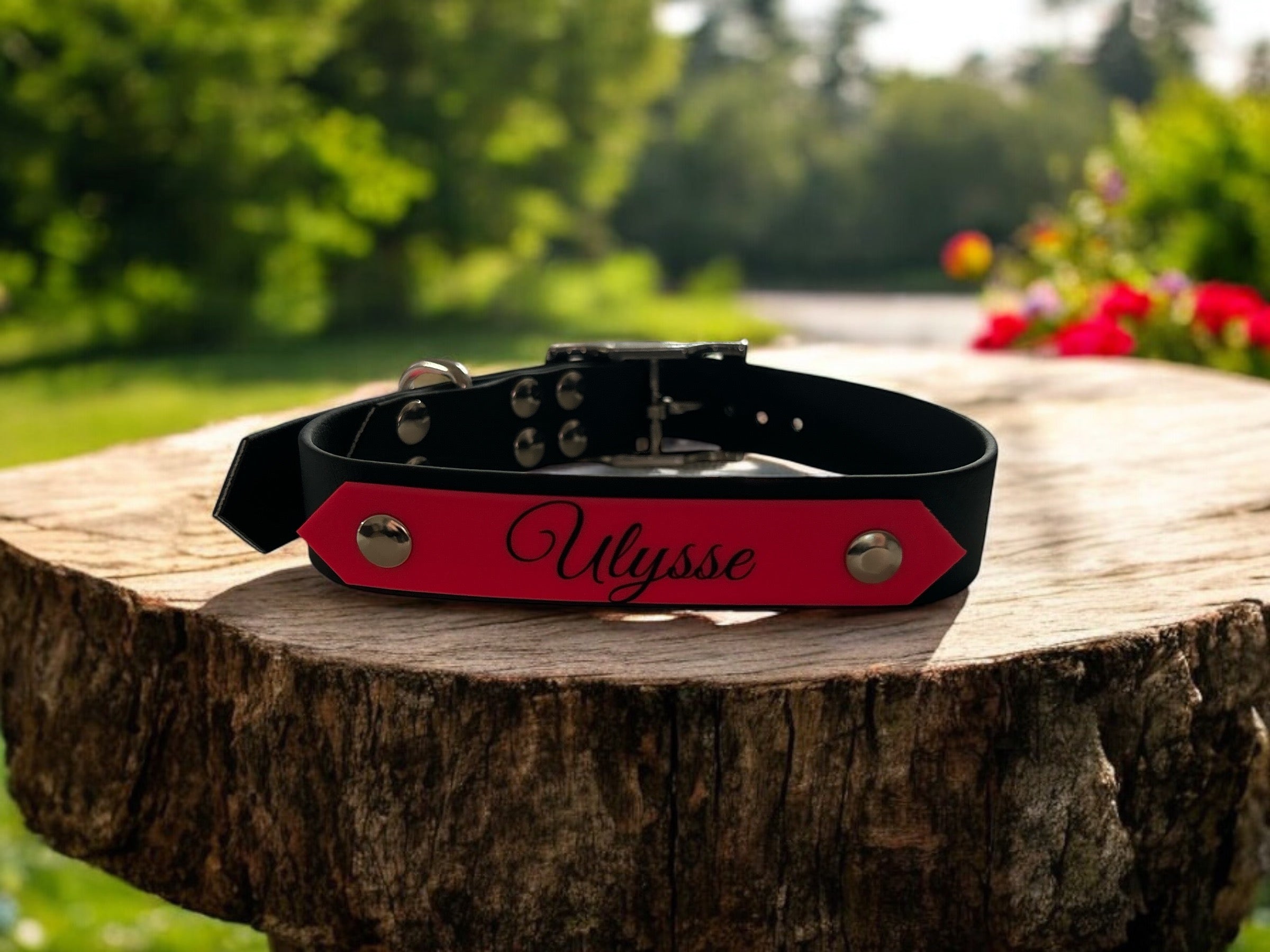 Collier Sweetie – Personnalisable avec le prénom de votre chien 25MM