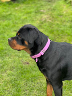 Collier Natural avec poignée rétractable lavande 25MM