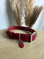 Collier Colorwaves 25MM