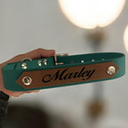 Collier Sweetie – Personnalisable avec le prénom de votre chien 25MM