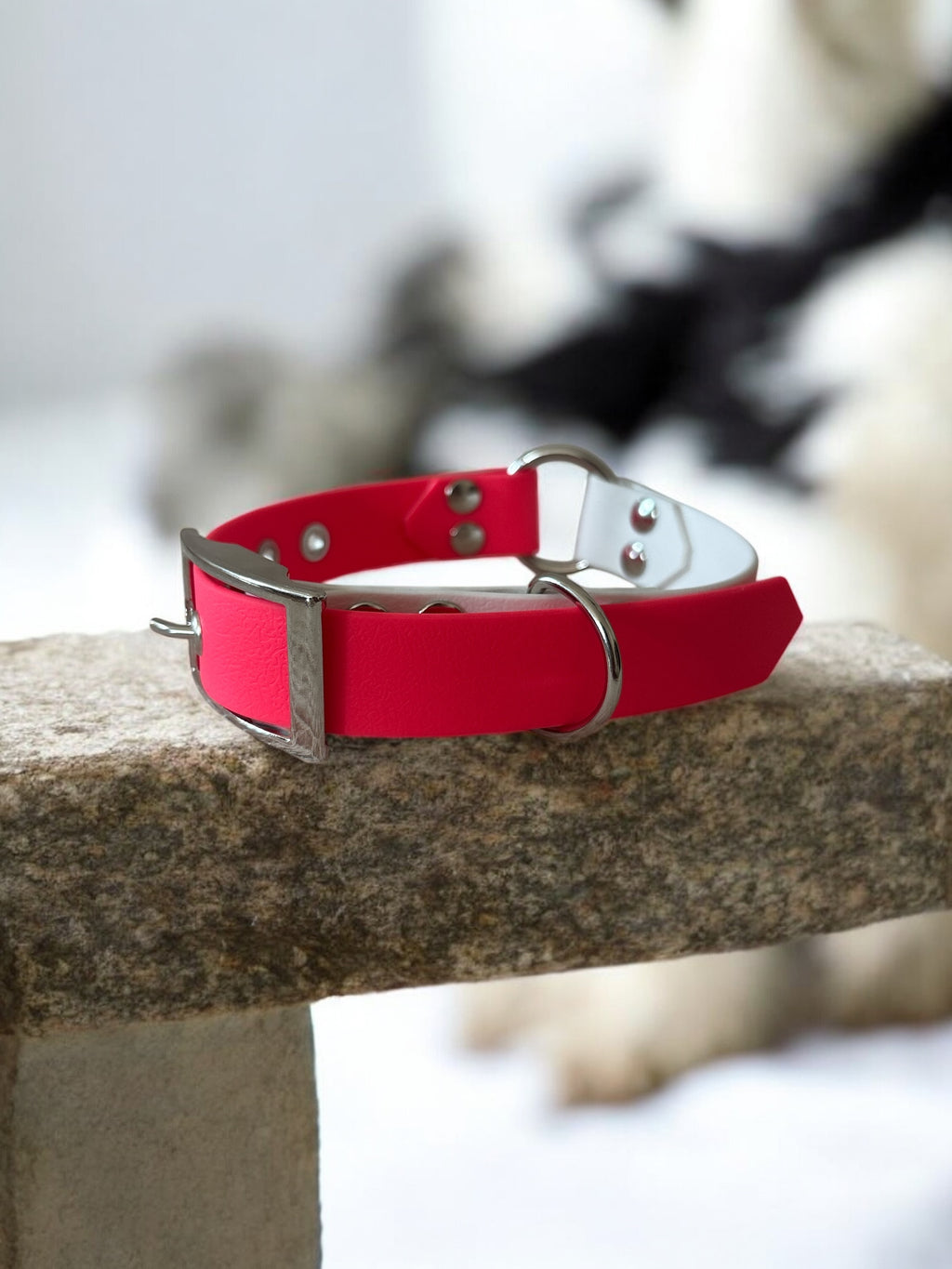 Collier Adventure 25 MM