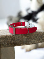 Collier Adventure 25 MM