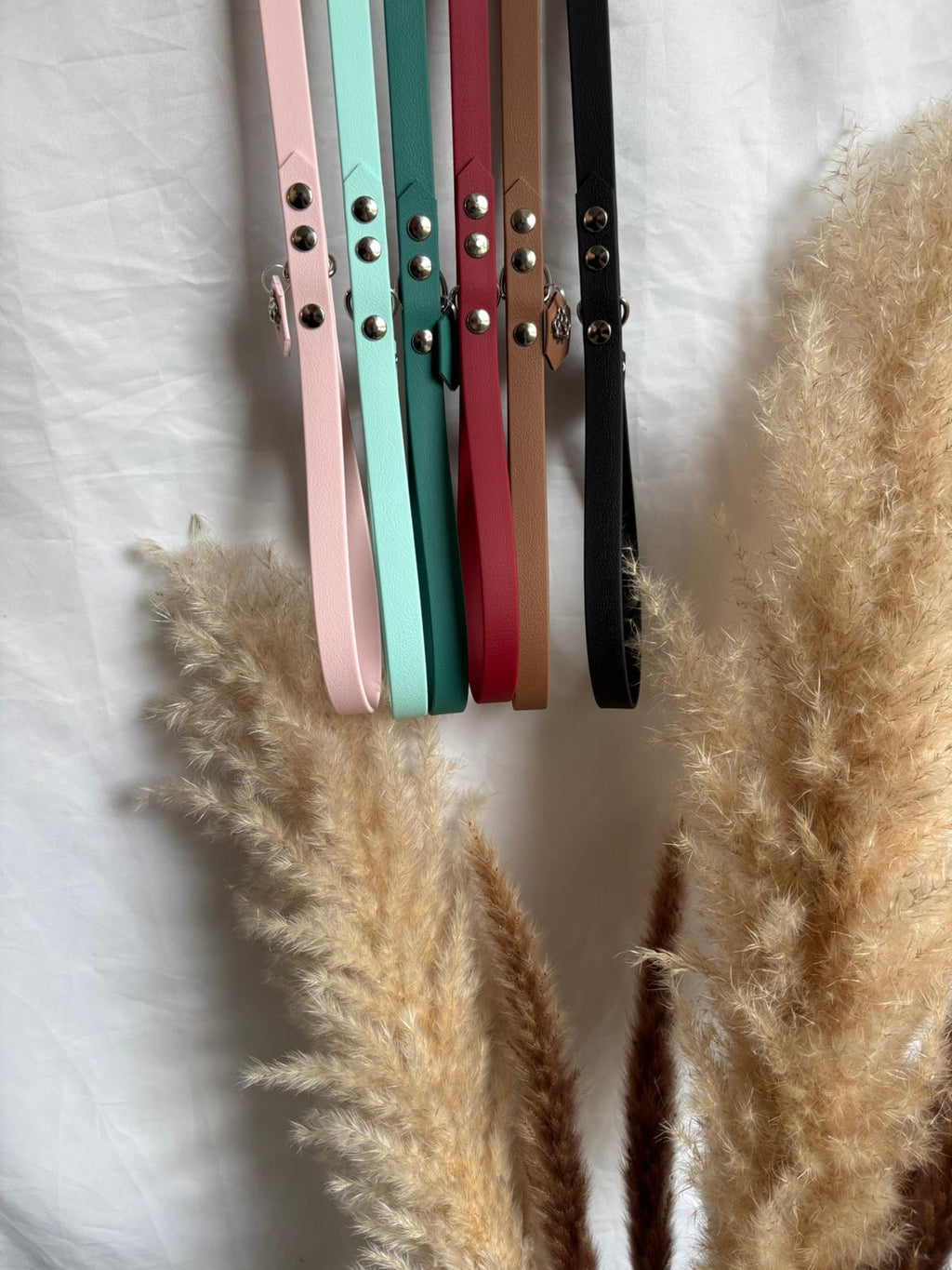 Laisse Colorplay 16MM