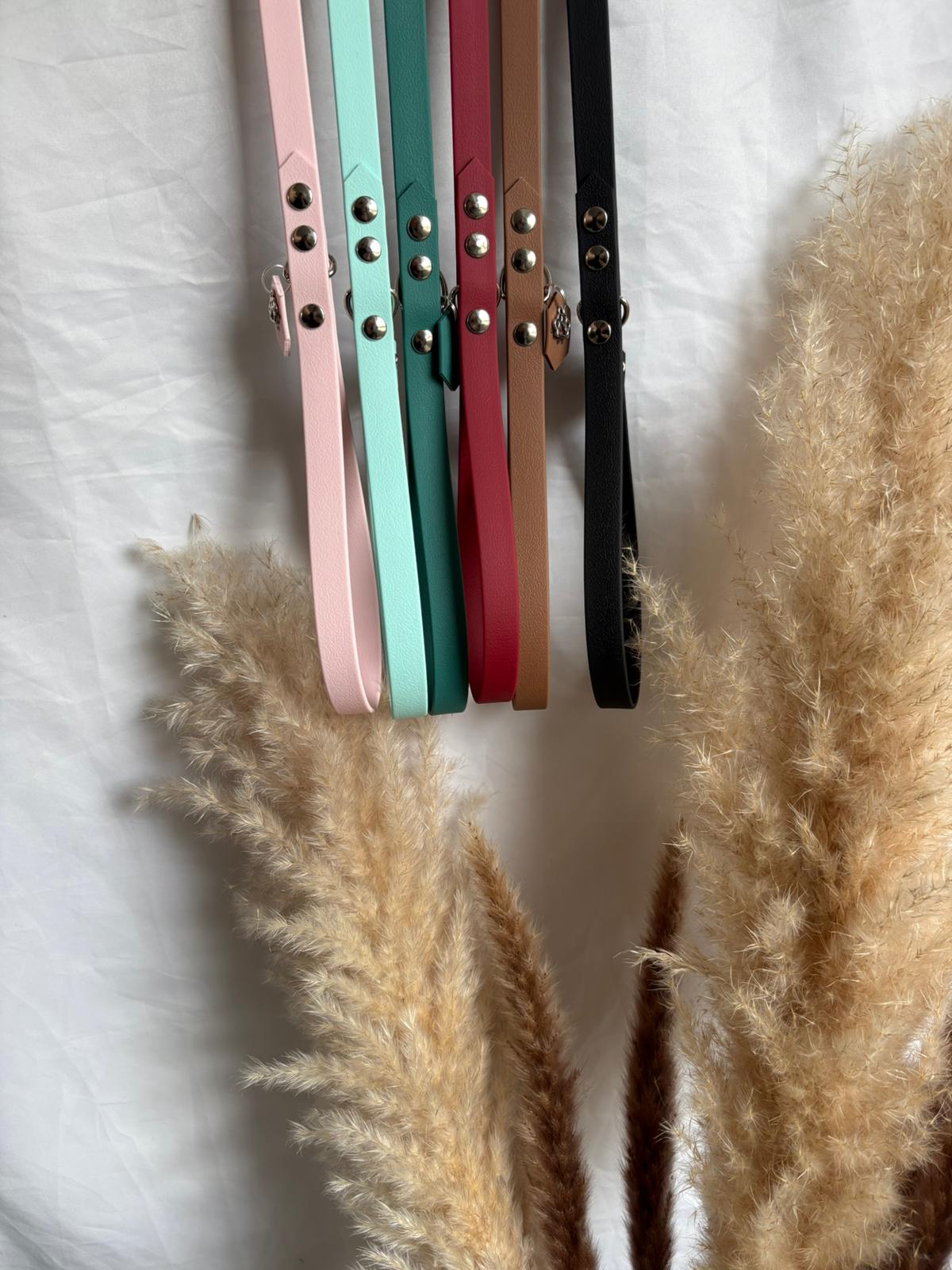 Laisse Colorplay 16MM
