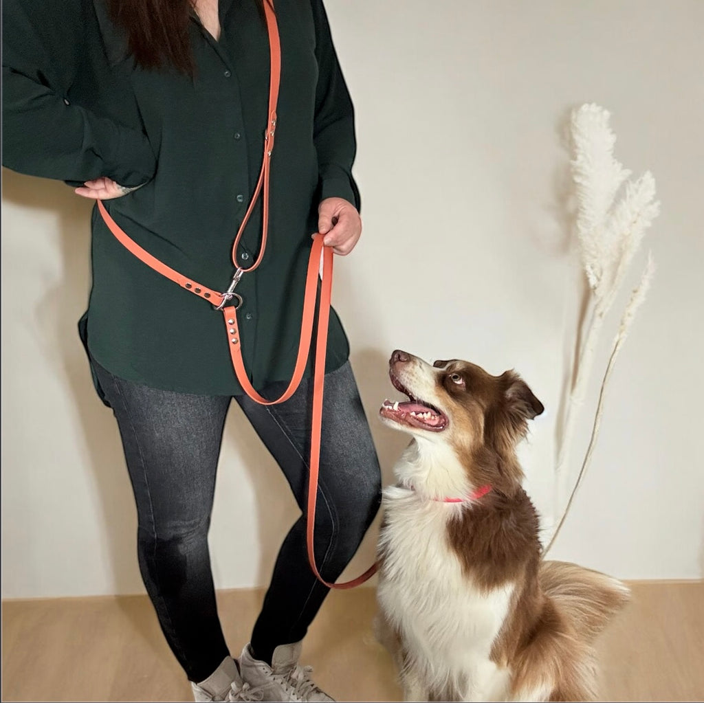 Laisse Multi-Positions 16mm- Terracotta