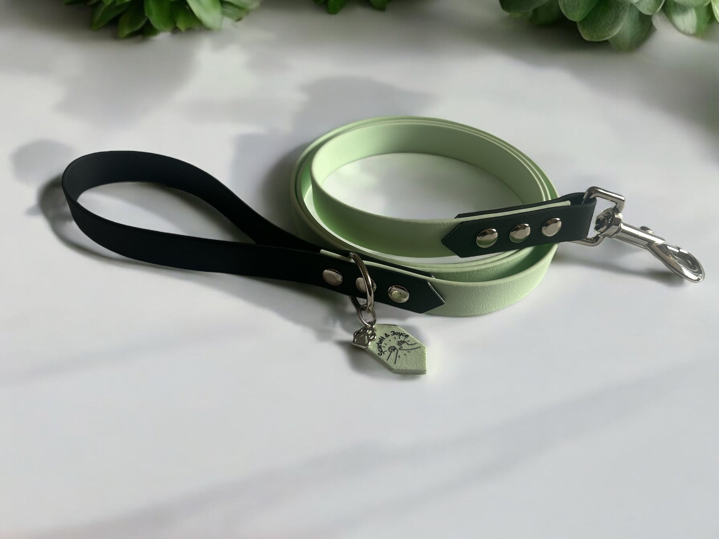 Laisse Urban Explorer 16 mm