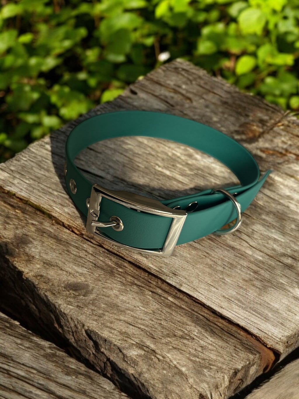 Collier Colorwaves 16mm petits chiens et chats