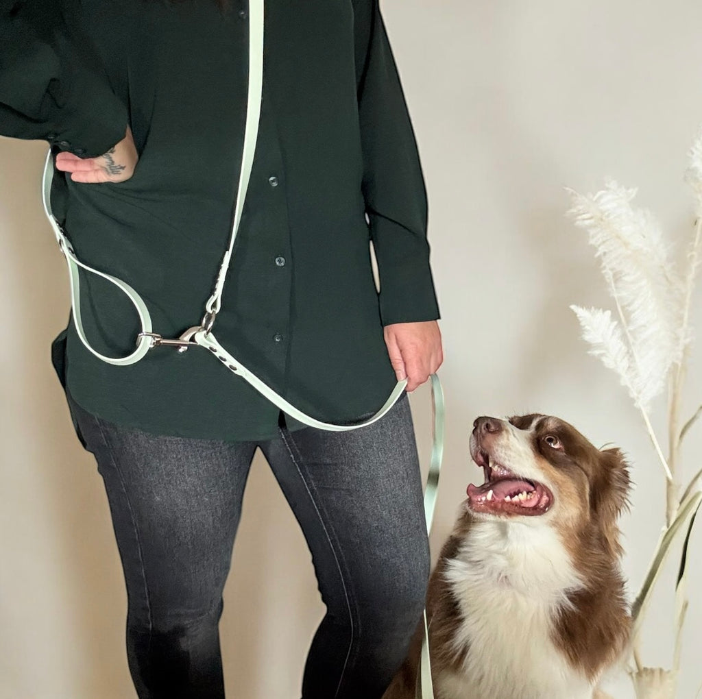 Laisse Multi-Positions 16mm- Vert d'eau