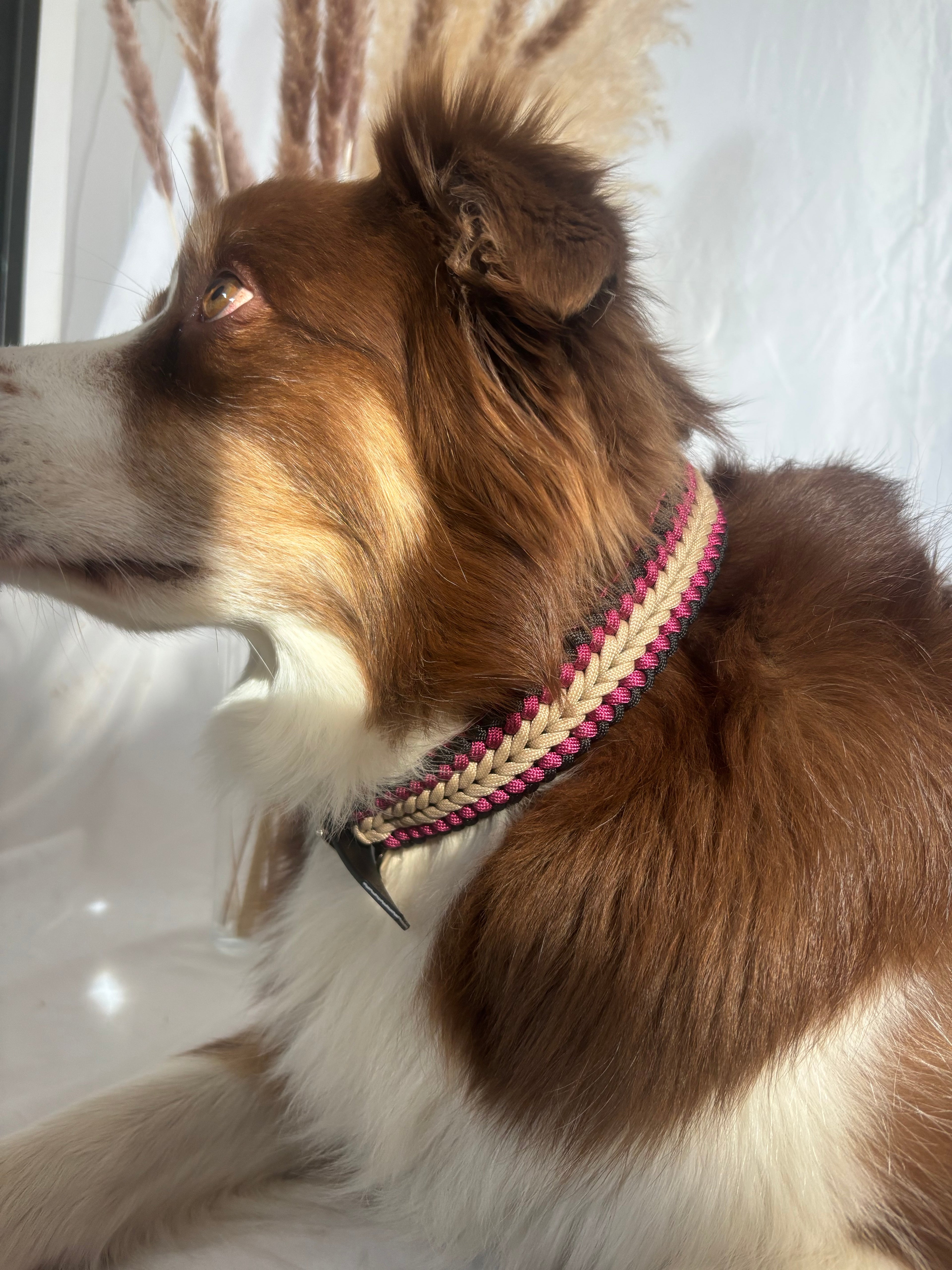 Collier koda  (32-40cm)