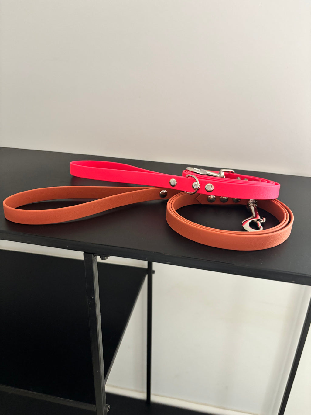 Laisse Colorplay 16MM