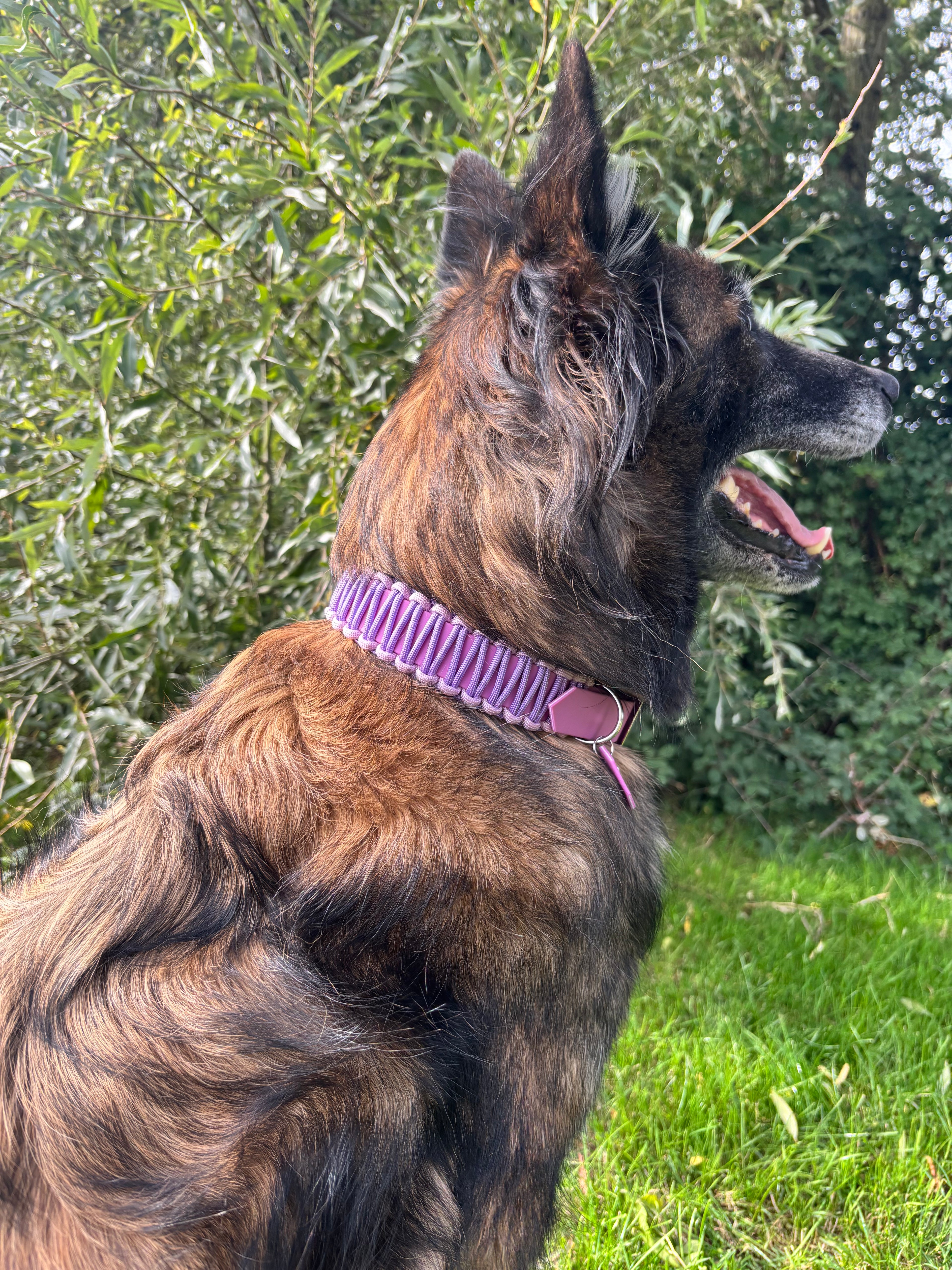 Collier Lavande et rose