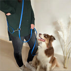 Laisse Multi-Positions 16mm- Bleu