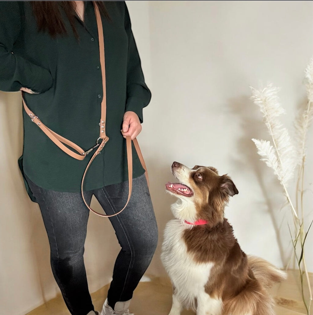 Laisse Multi-Positions 16mm- Marron