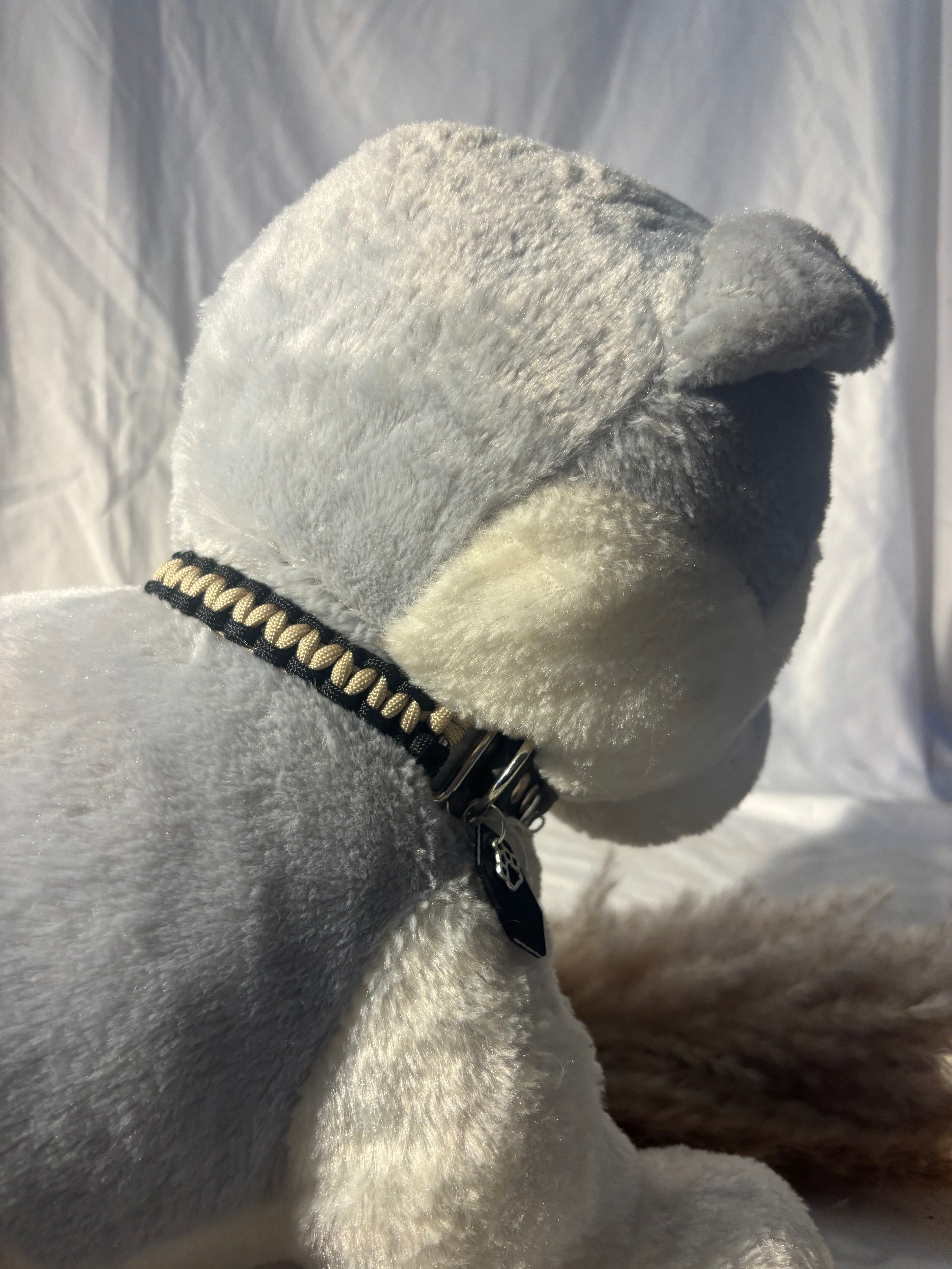 Collier atlas (29-35cm)